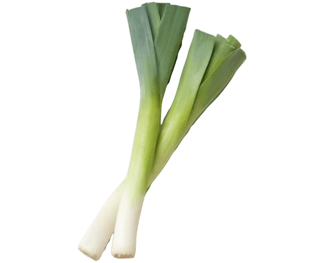 The Leek